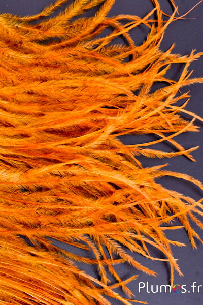 Autruche barbules - 8-15 cm - or aztèque